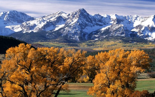 Trees autumn Colorado photos 3840x2400.