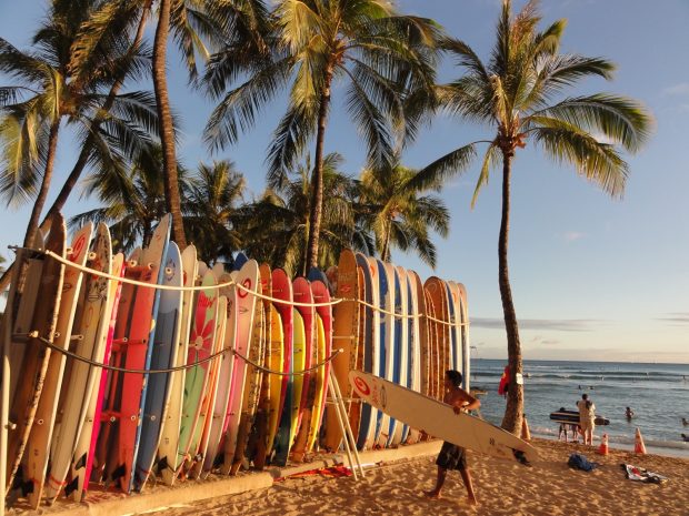 Tropical Surf Beach Wallpaper.