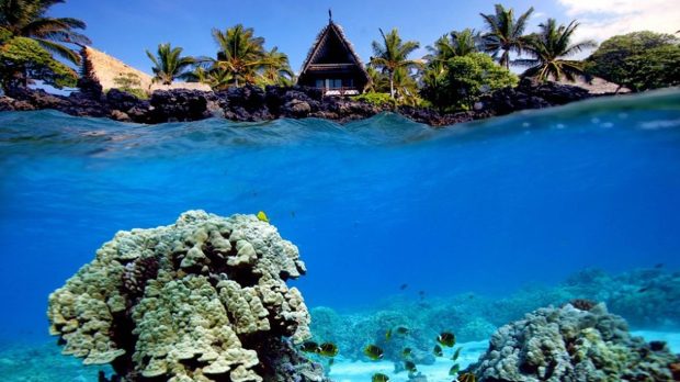 Underwater shot of coral reef and beach hut 3000x1686 wallpaper.