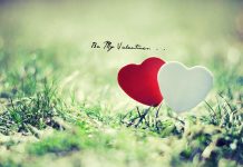 Valentines Romantic Wallpaper.