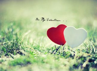 Valentines Romantic Wallpaper.