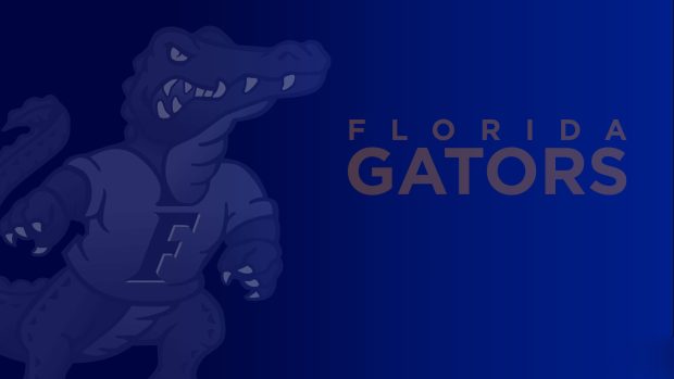 Wallpaper dark blue sports gators desktop gator computer static.