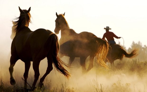 Western Cowboy Desktop Wallpaper.