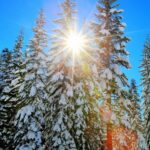 Winter Background for Iphone Download Free.