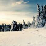 Winter Background for Iphone HD.