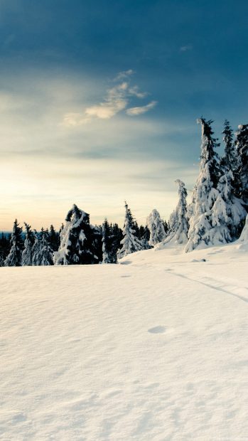 Winter Background for Iphone HD.