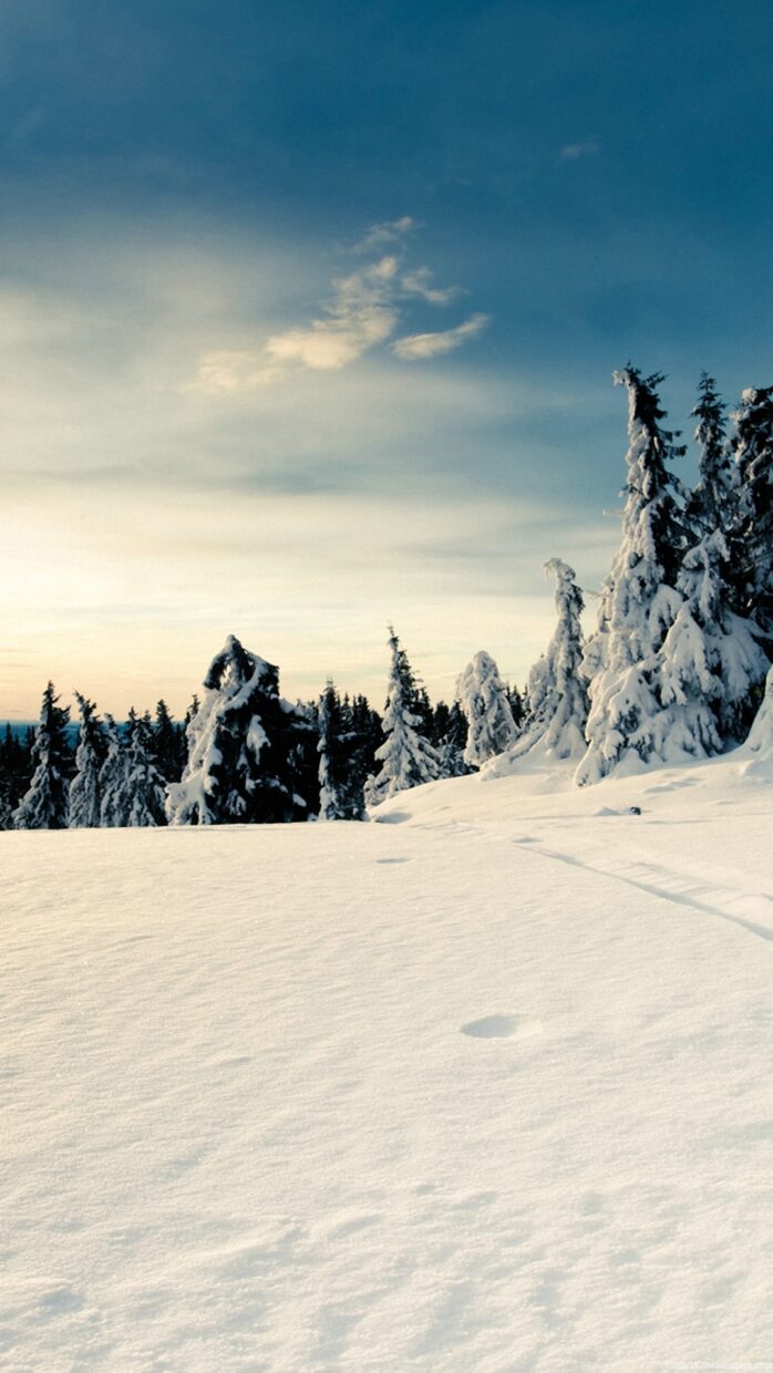 Winter Backgrounds for Iphone HD - PixelsTalk
