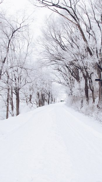 Winter Road Wallpaper for Iphone.