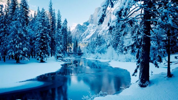 Winter nature desktop background 1920x1080.