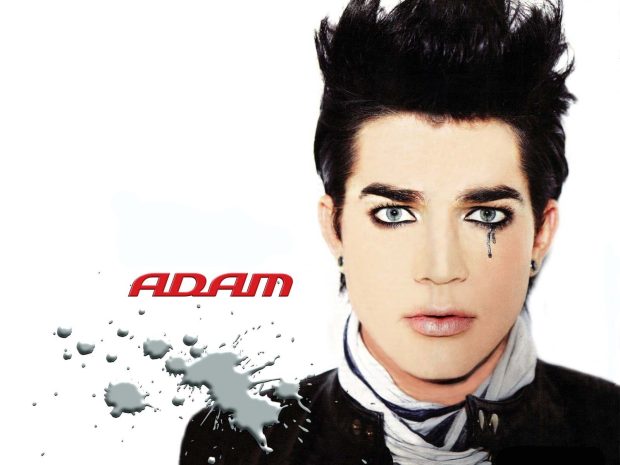 Adam Lambert HD Wallpaper.