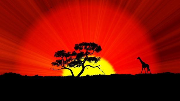Africa at Sunset 1920x1080 Wallpaper.