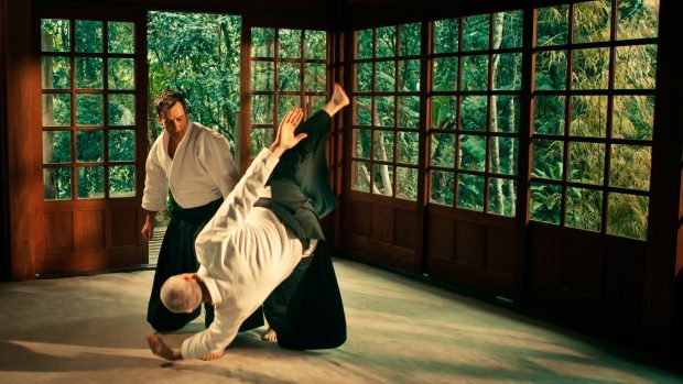 Aikido Desktop HD Wallpaper.