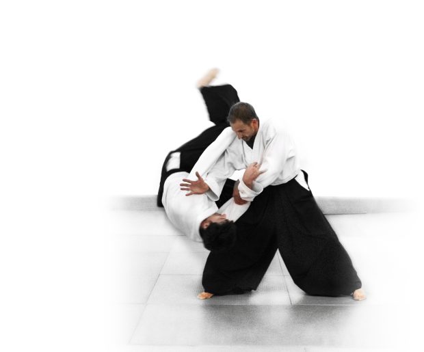 Aikido Vorn Wallpaper.