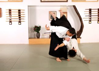 Aikido Wallpaper Download Free.