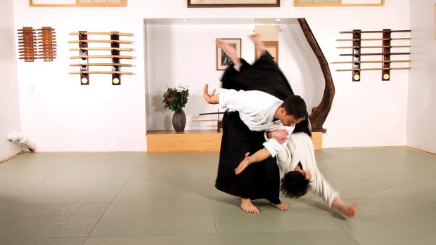 Aikido Wallpaper Download Free.