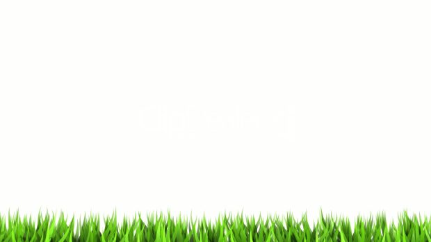 All White Wallpaper FullHD.