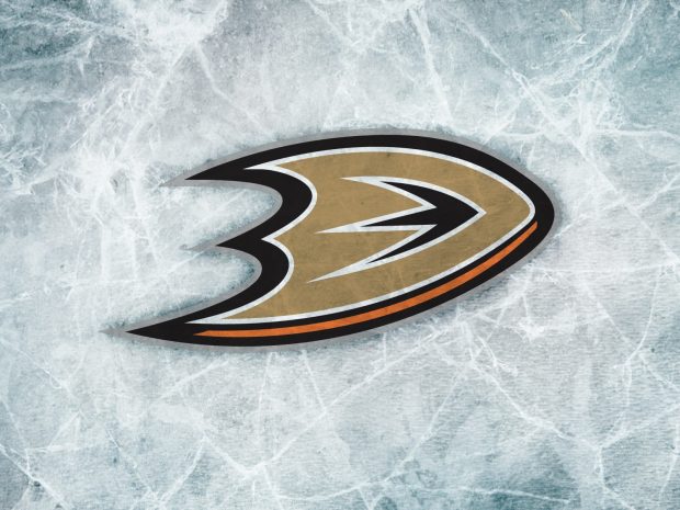 Anaheim Ducks Wallpaper HD.