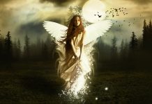 Angel HD Wallpaper Free.