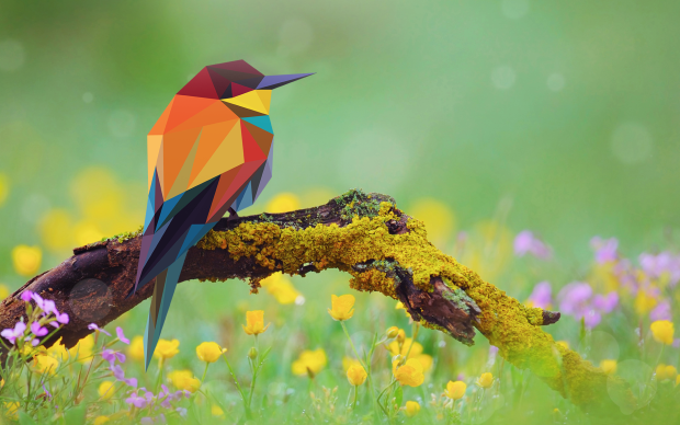 Beatiful 2D Low Poly Bird Art Wallpaper