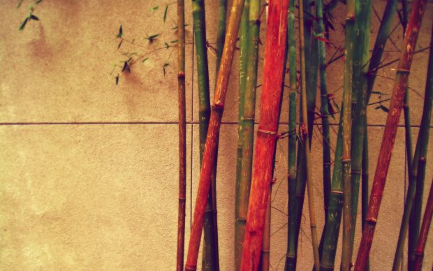 Colorful Bamboo Vintage HD Wallpaper.