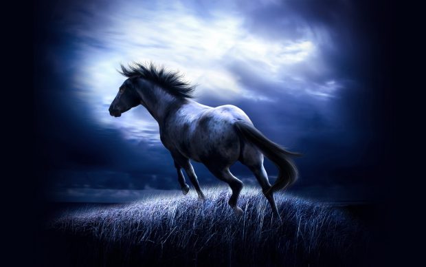 Free horse wallpaper hd download.