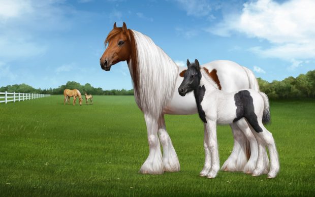 Free horse wallpapers.