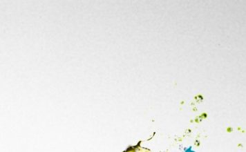 HD Adidas Iphone Wallpaper.