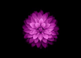 IOS 8 Wallpapers Free Download.