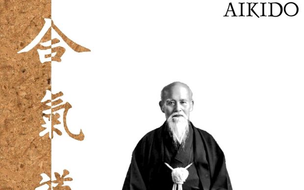 Martial Arts Aikido 2560x1600 Wallpaper.