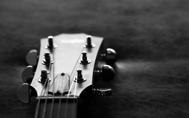 Monochrome Acoustic Guitar Wallpaper 2560x1600.