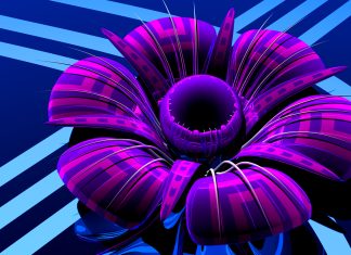 Psytrance Flower 3D Petals Art Abstract Glass Background.