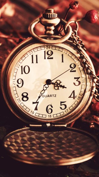 Vintage Watch Pocket Macro Autumn Berries Dry Chain Dial iPhone wallpaper.