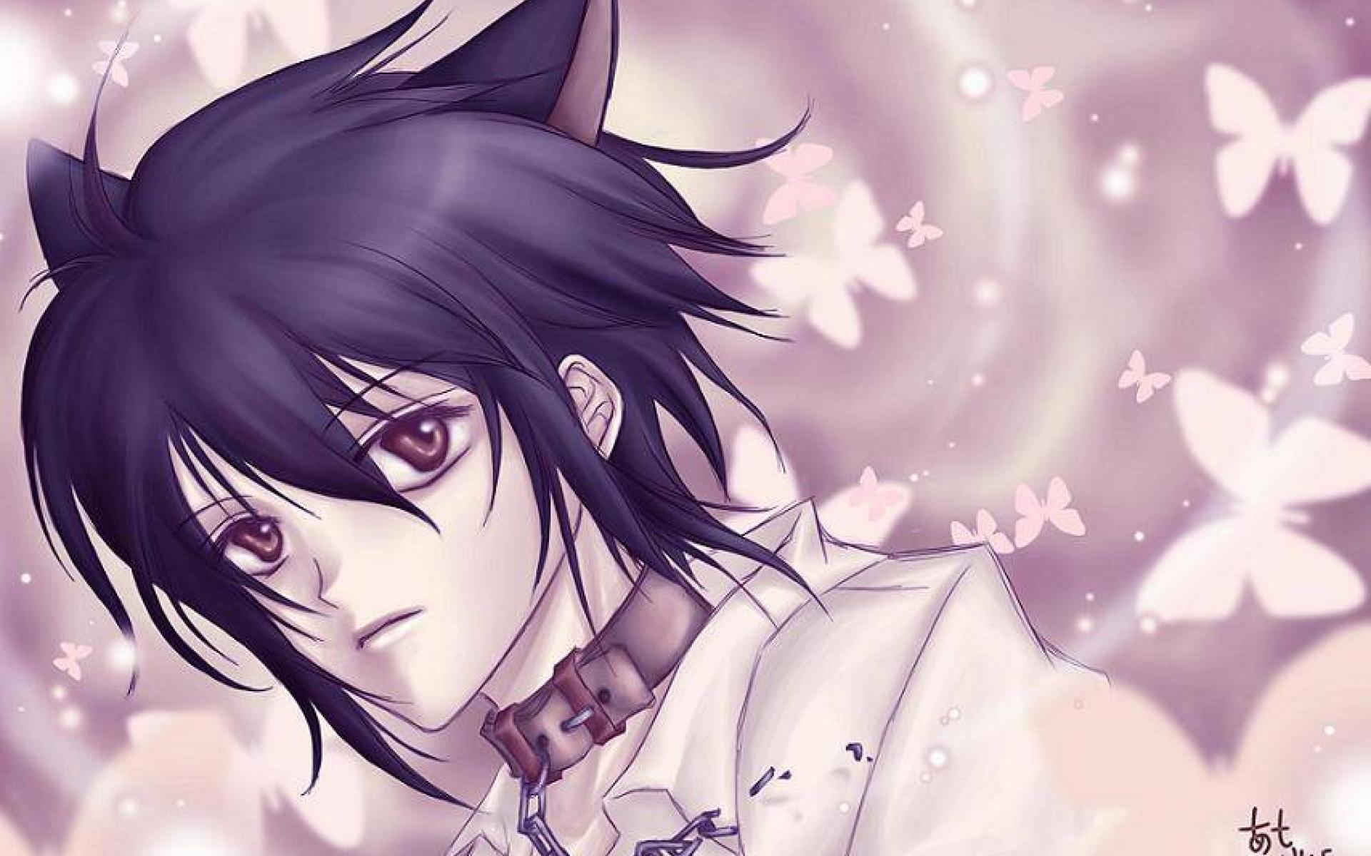 Boy Wallpaper Anime Cat Collection 13 Wallpapers