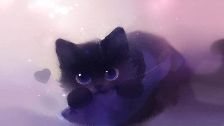 https://www.pixelstalk.net/wp-content/uploads/2016/10/Anime-Cat-Full-HD-Wallpaper-768x432.jpg