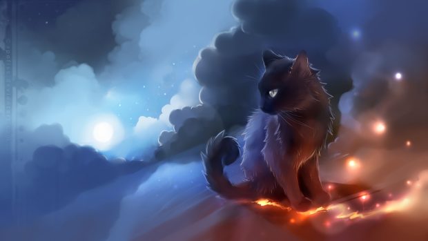 Anime Warrior Cat Wallpaper Widescreeen.