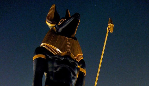 Anubis HD Background.