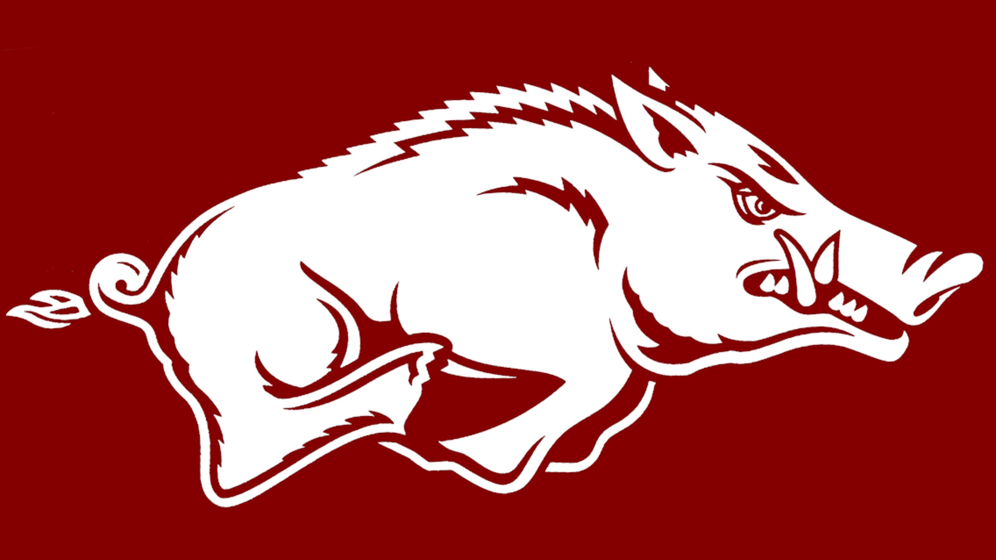 Cool Arkansas Razorbacks Logo vintage razorback HD wallpaper  Pxfuel