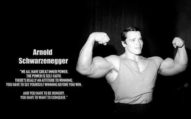 Arnold Schwarzenegger Background for Desktop.
