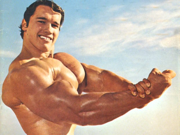 Arnold Schwarzenegger HD Background.