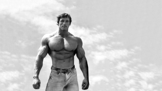 Arnold Schwarzenegger Wallpaper Full HD.