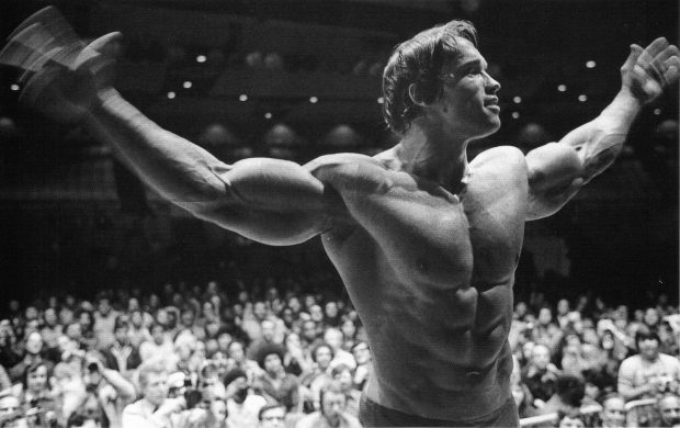 Arnold Schwarzenegger Wallpaper HD.