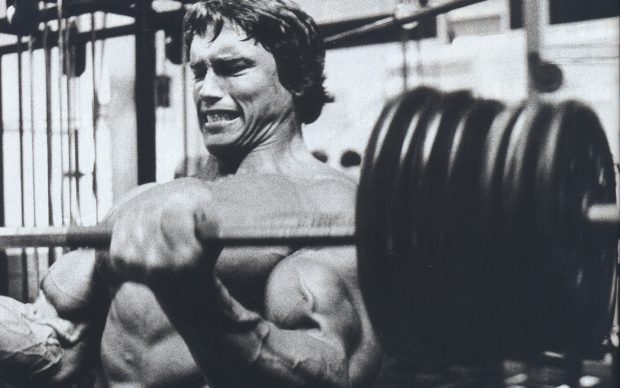 Arnold Schwarzenegger Wallpaper for Desktop.