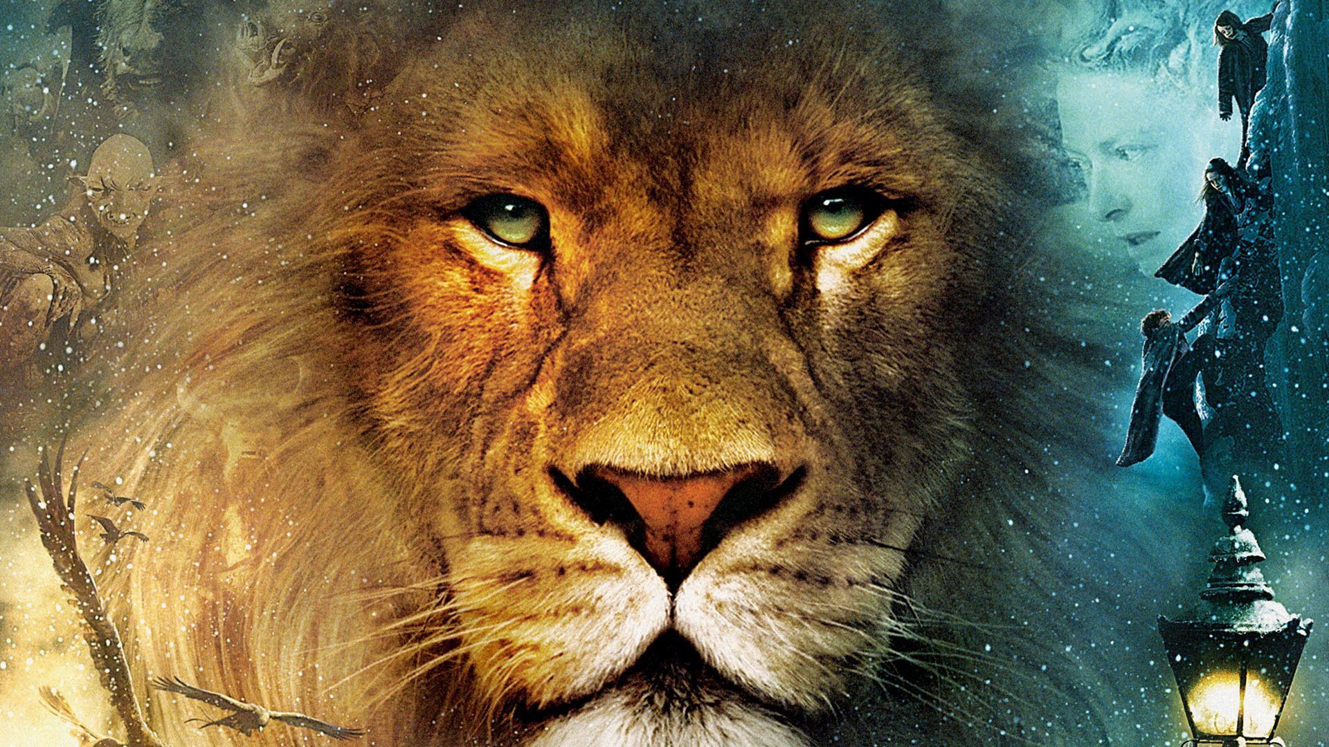 Lion Wallpaper - NawPic