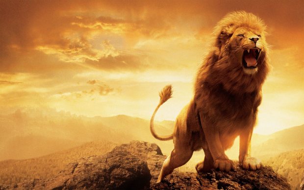 Aslan Narnia HD Wallpaper.