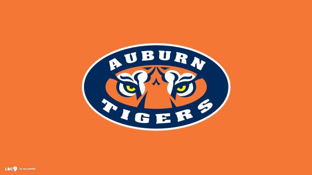 Auburn tigers ipad football wallpapers.