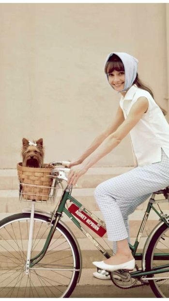 Audrey Hepburn Full HD Background for Android.