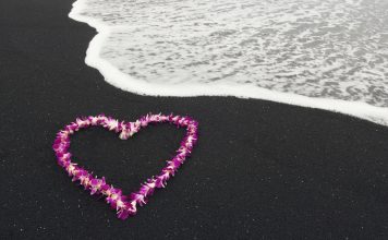 Background Nature love free download.