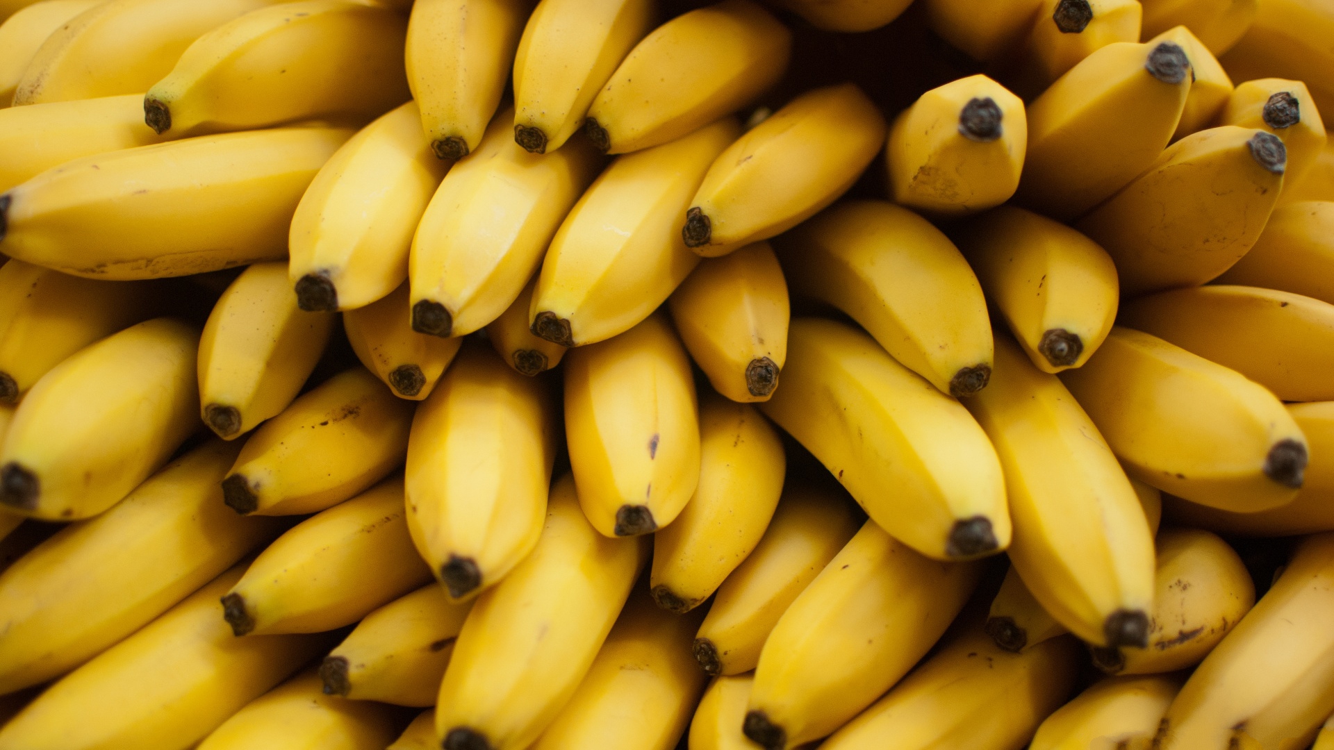 30 Banana HD Wallpapers and Backgrounds