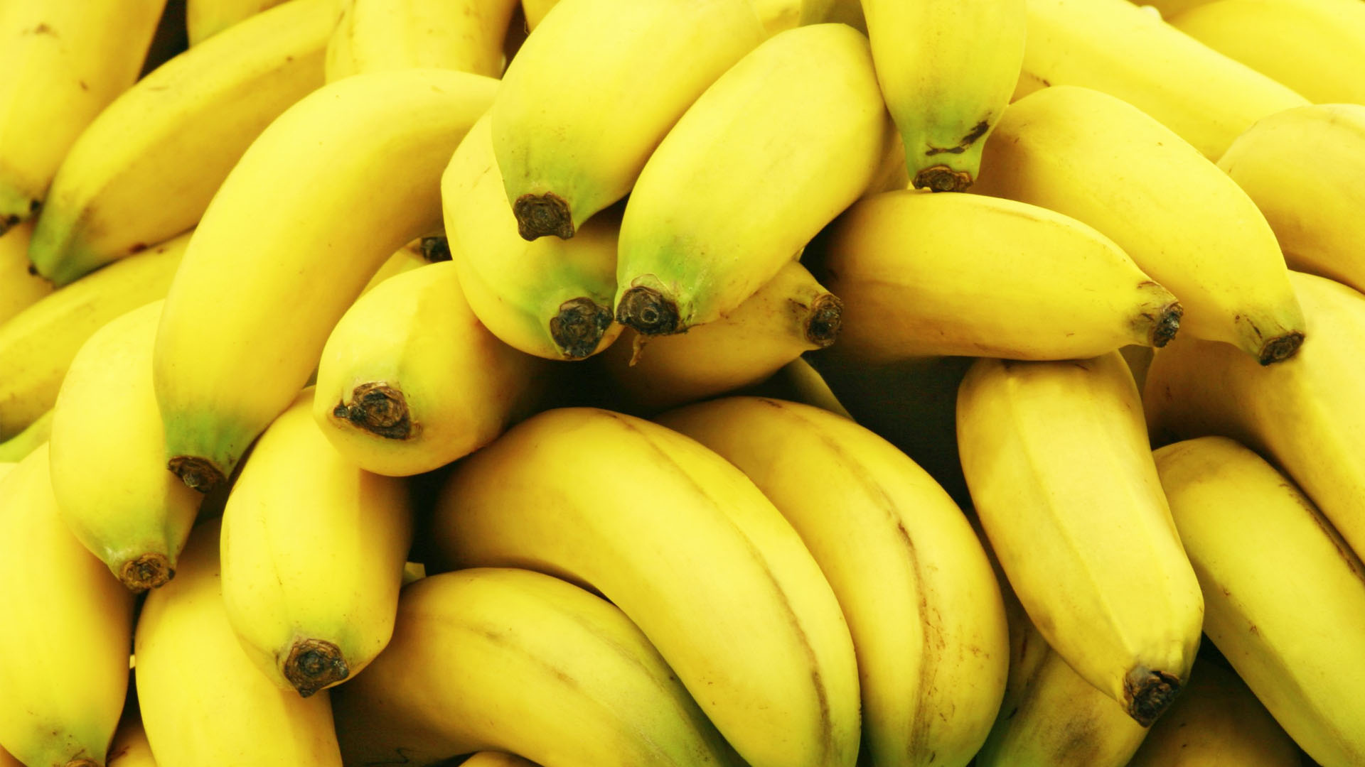 bananas, Fruit, Food Wallpapers HD / Desktop and Mobile Backgrounds