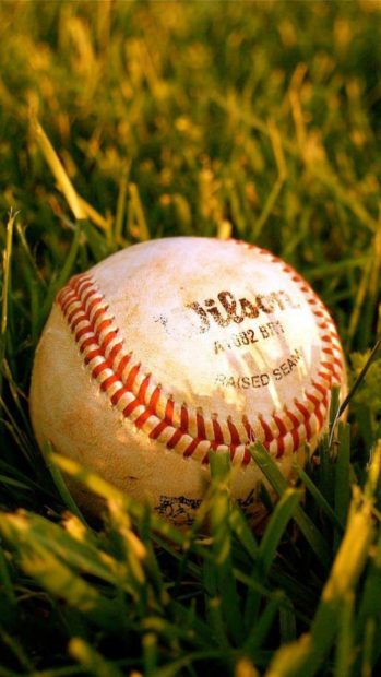 Baseball Full HD Wallpaper for Iphone.